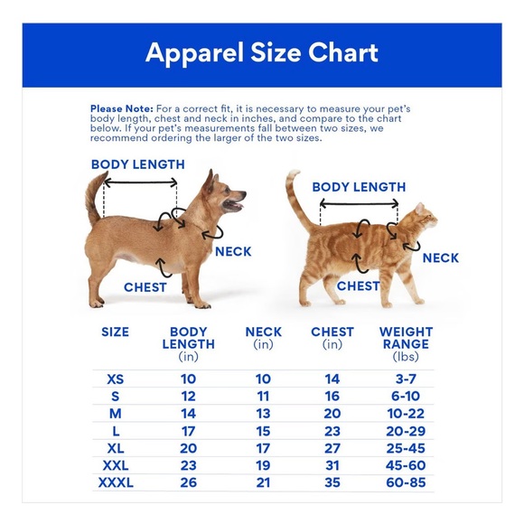 NWT Disney Lightweight Flounder Little Mermaid Dog & Cat Raincoat Size Large - Picture 4 of 4